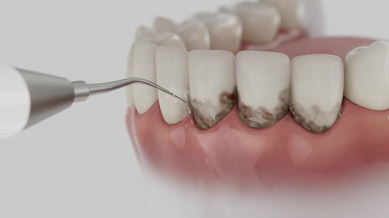 Reliable Dental contractor in Britton, SD by Dentist Open Now